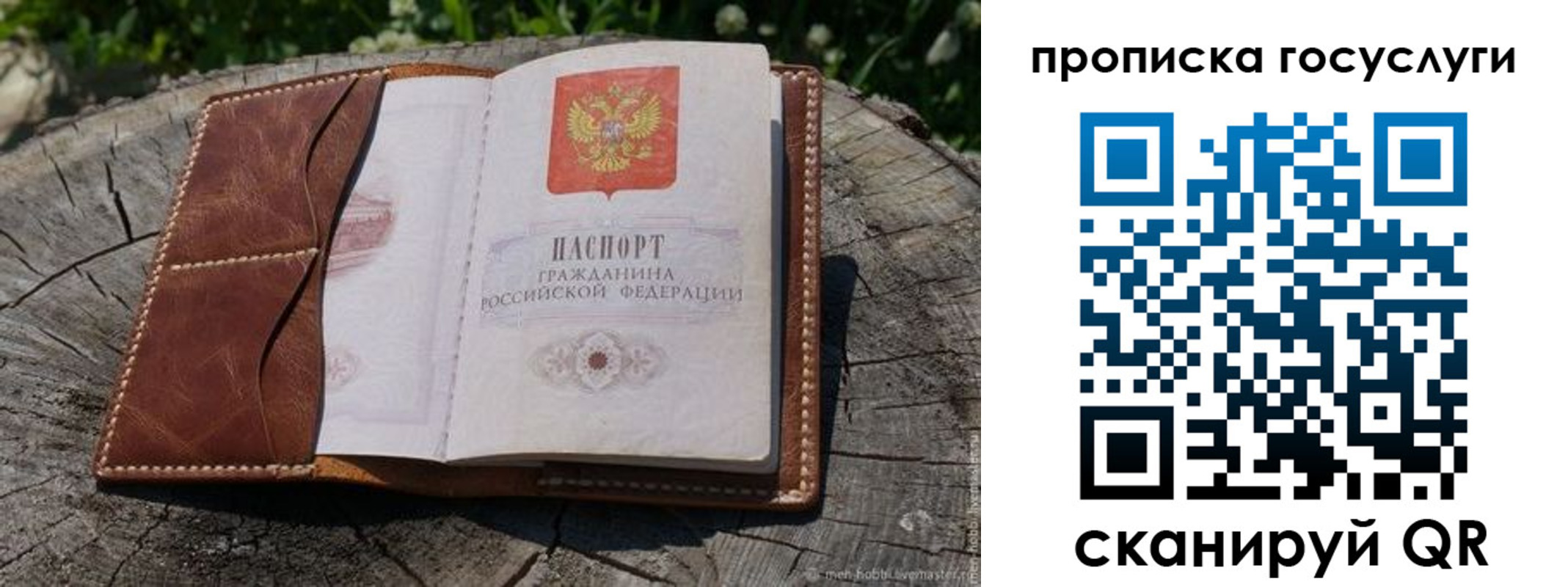 прописка для школы в Яранске